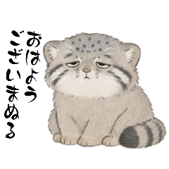 Pallass Cat Stickers