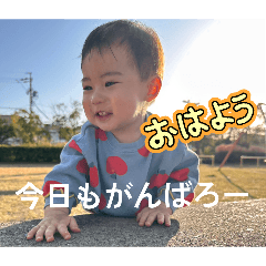 miyoko_20260429222916