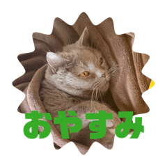 HIMEKA_20260430112612