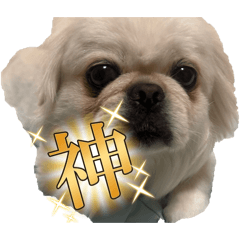 hau_20260430124002