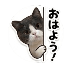 Tanaka Works_20260430123805