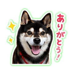 PON_20260430123627