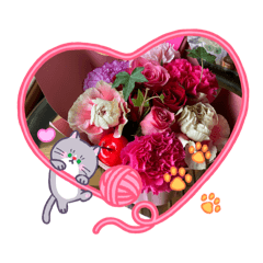 nao_20260430124547