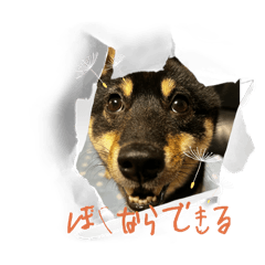 Kk_20260429213254