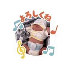 midori_20260429213719