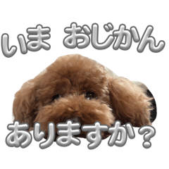 Yama_20260429213702