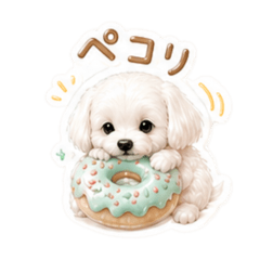 momo_20260429214237