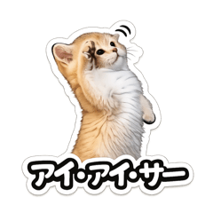 You, Neko, Me vol.1