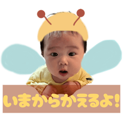 zui_20260429235040