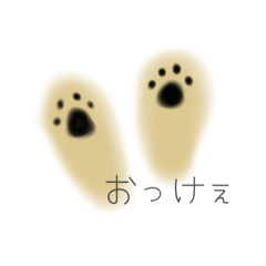 mari_20260430165024