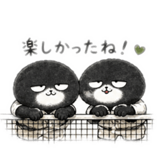 kuromame_20260430000010