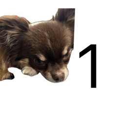 ryo_20260429214646