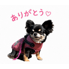 saku_20260429214530
