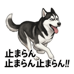 HANABI_20260429215101