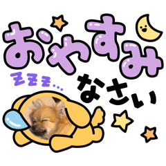 aloalo_20260430132037
