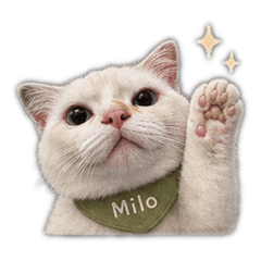 Miloの貼圖