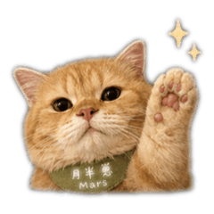 Marsの貼圖