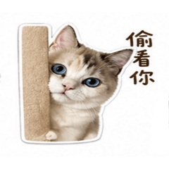 我叫三公分