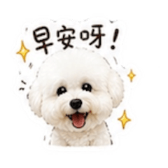 棉花糖比熊｜超可愛日常(糖糖）