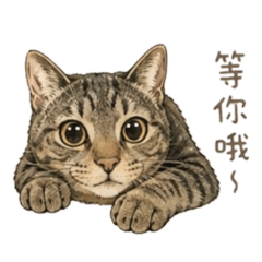 靜靜家A大胖虎