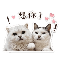 吉利及咪寶