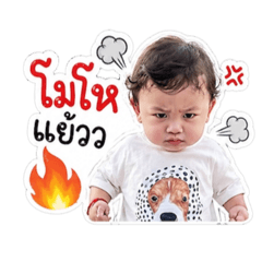 akin_20260428032734
