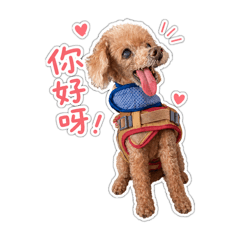 18歲秋寶寶