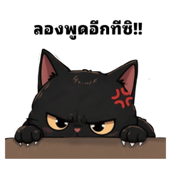 Bearryp_20260428033452