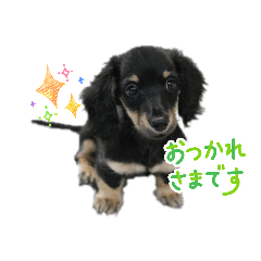 YUMI_20260429220842