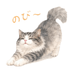 yuyu_20260429220642