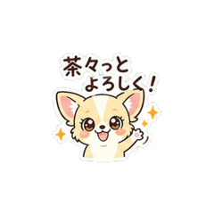 cha cha_20260430142012