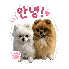 Anny_20260430080717