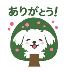 asakun_20260425150631