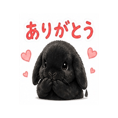Cute Black Lop Bunny Stickers