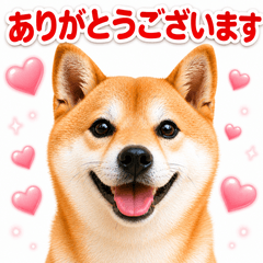 Sunekoma Polite Stickers (Shiba Inu)