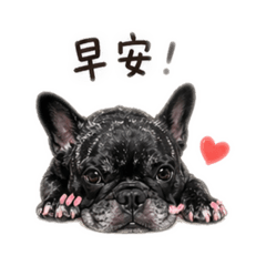 阿頭日常-生活篇