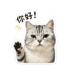 常用語問候 日常用語