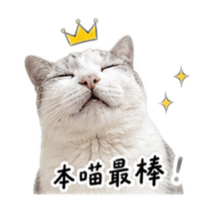 Fy醬第二彈