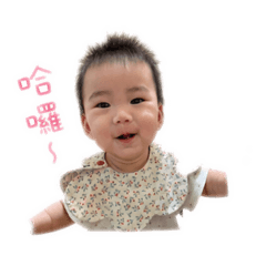 貢丸（宸宸❤️）