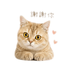 咪露貼圖part1