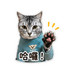 天天家的王淼淼