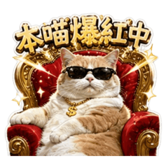 本貓爆紅中！頂流貓來了