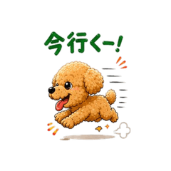 Cute Toy Poodle Stickers for Every Day!
