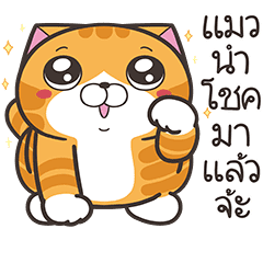 เหมียวซ่า: แมวดื้อ