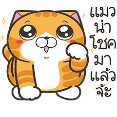 เหมียวซ่า: แมวดื้อ