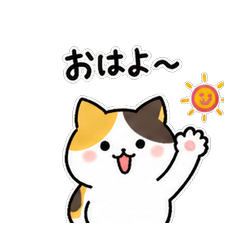 Calico Kitty Chat Pack