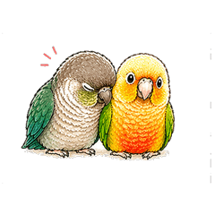 Green Cheek Conure Daily Stickers