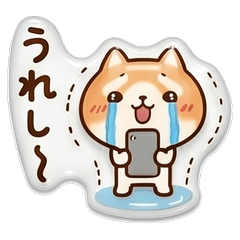 cute ziba inu 3D stickers