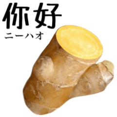 Flesh Ginger 12