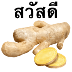 Flesh Ginger 6